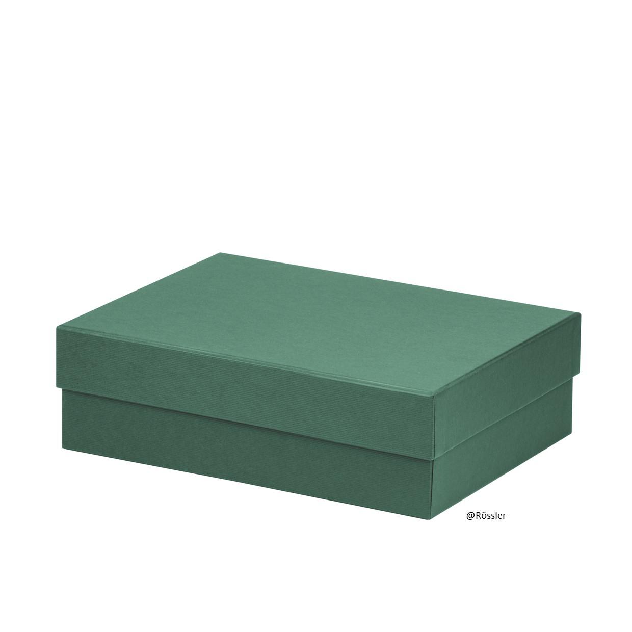 Geschenkschachtel 196x264x80 mm Opal